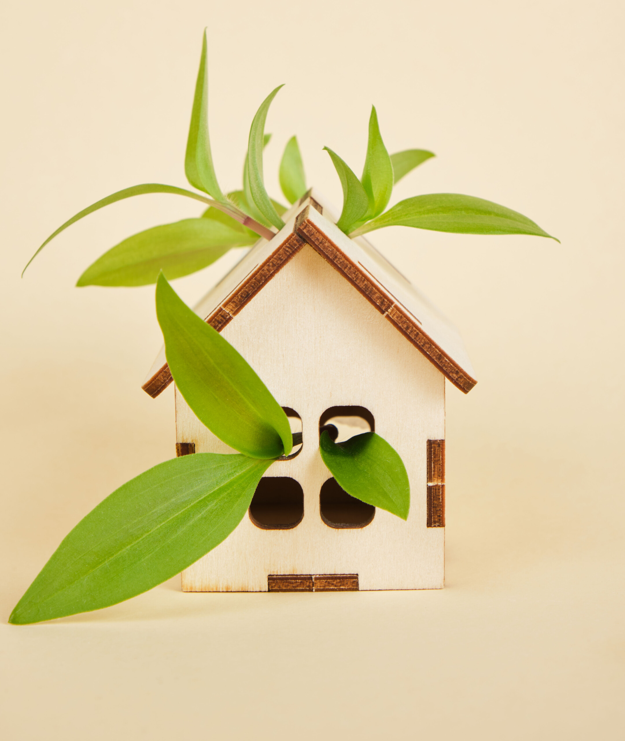 wooden model of a house on a beige background, eco house concept, green leaves and a small toy house copy space